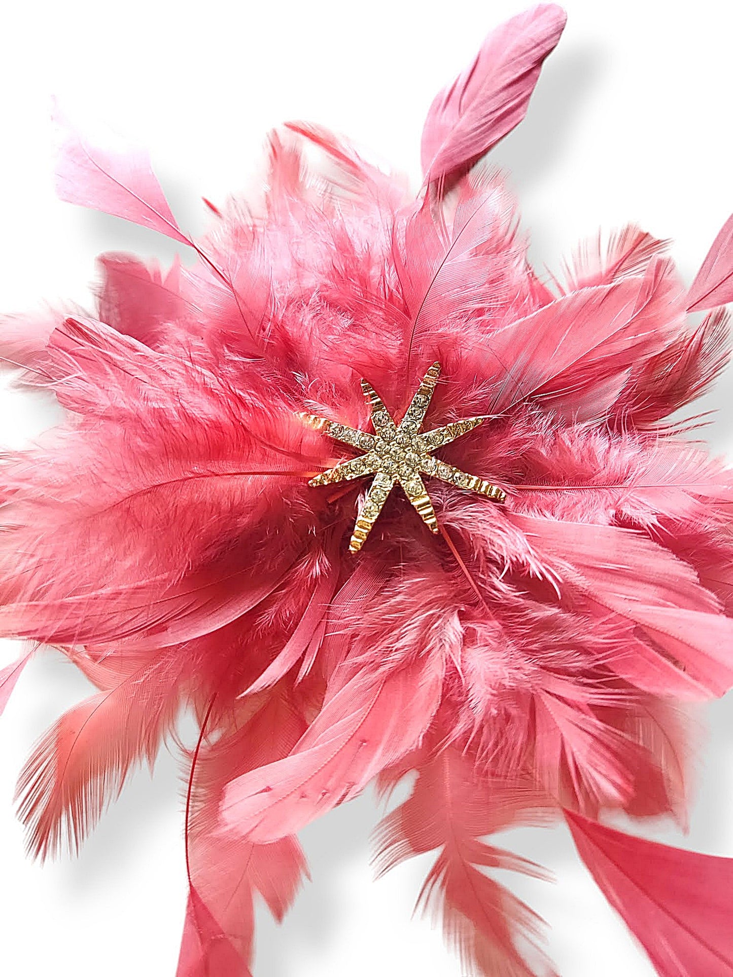 Detalle de las plumas y la estrella con cristales en el centro del tocado.
