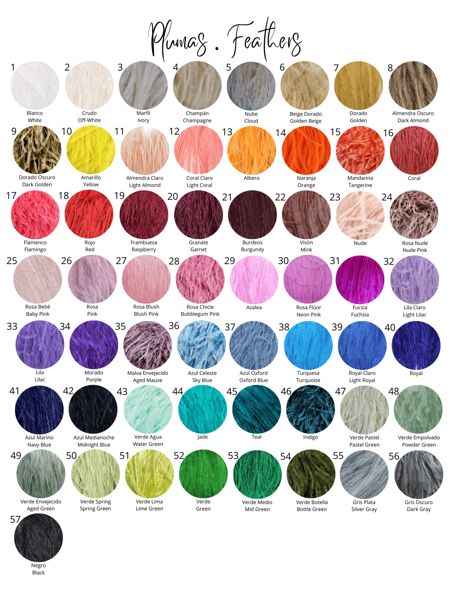 Carta de colores de plumas disponibles para personalizar.