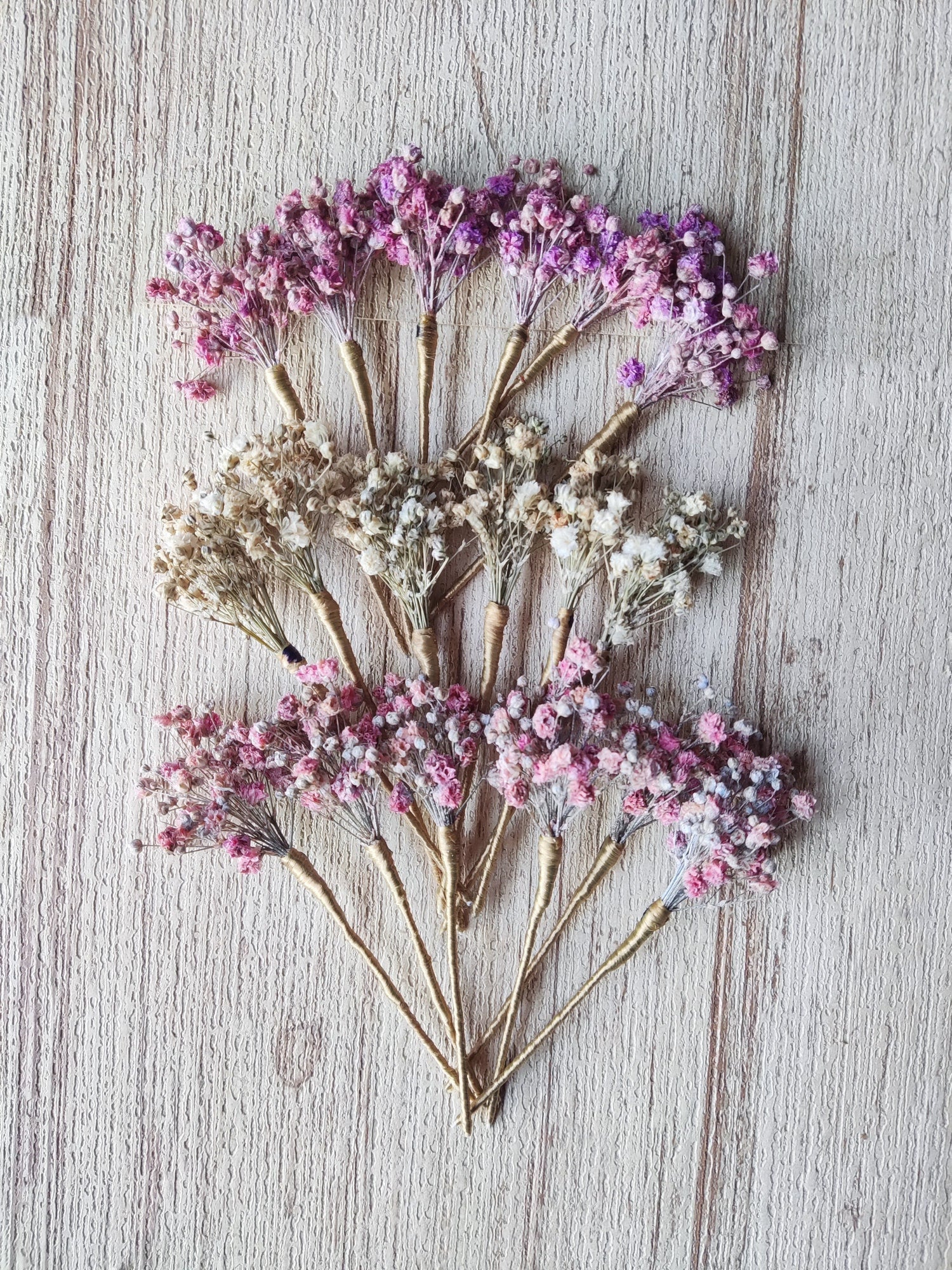 Primer plano con luz natural de tres filas de horquillas de paniculata preservada en tonos malva, crema y rosa empolvado, mostrando la textura de las flores.