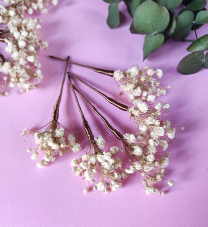 Horquillas de paniculata preservada en color crudo dispuestas sobre un fondo rosa, mostrando el detalle de las flores y el tallo artesanal.